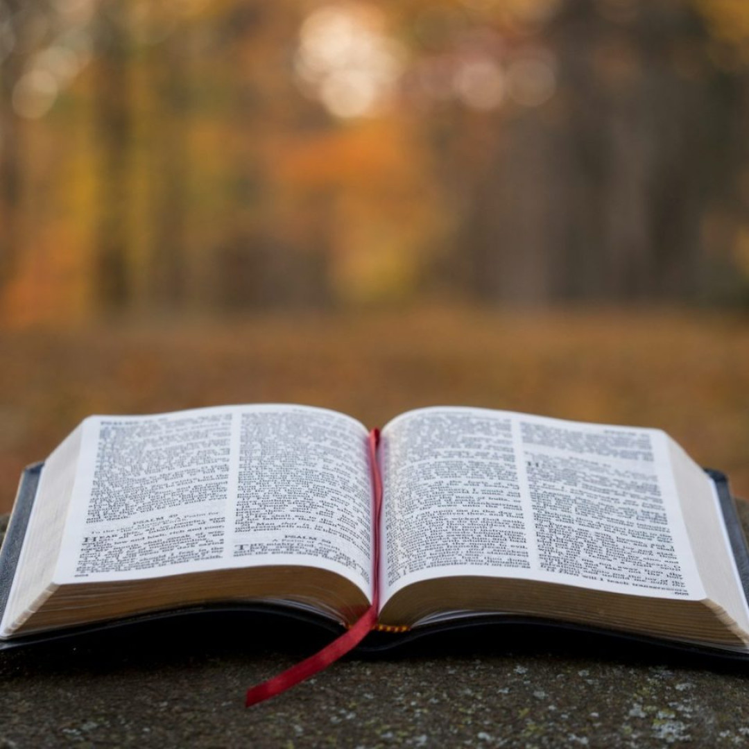 An open Bible under warm soft light